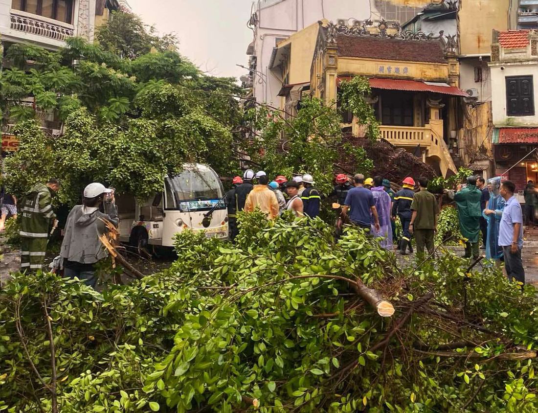 Bạch Long Vĩ đã có gió cấp 12, giật cấp 14, bão cách đất liền 160km - Ảnh 23.