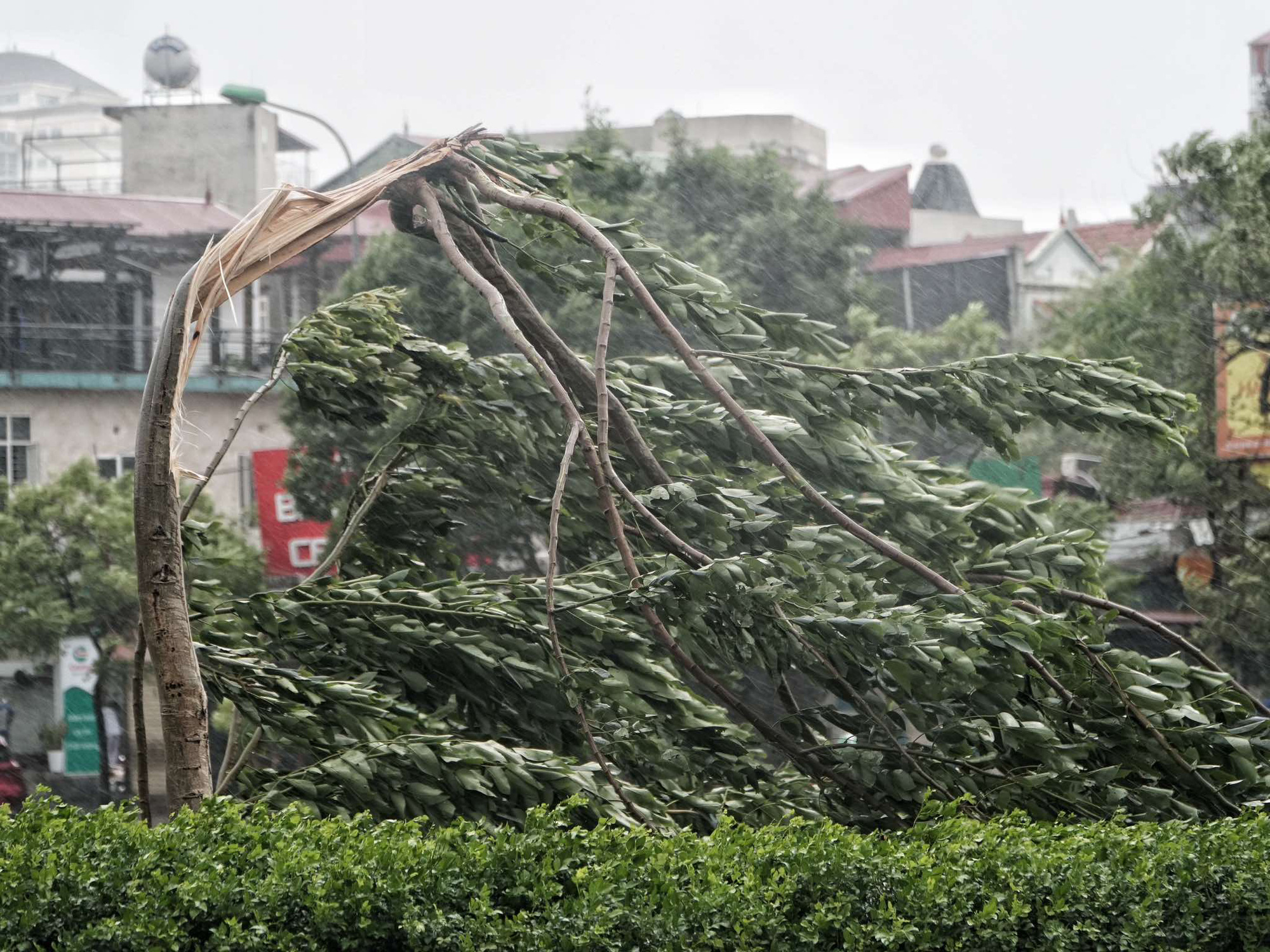 Tâm bão số 3 vẫn đang nằm ở khu vực Hòa Lạc, Hà Nội - Ảnh 37.