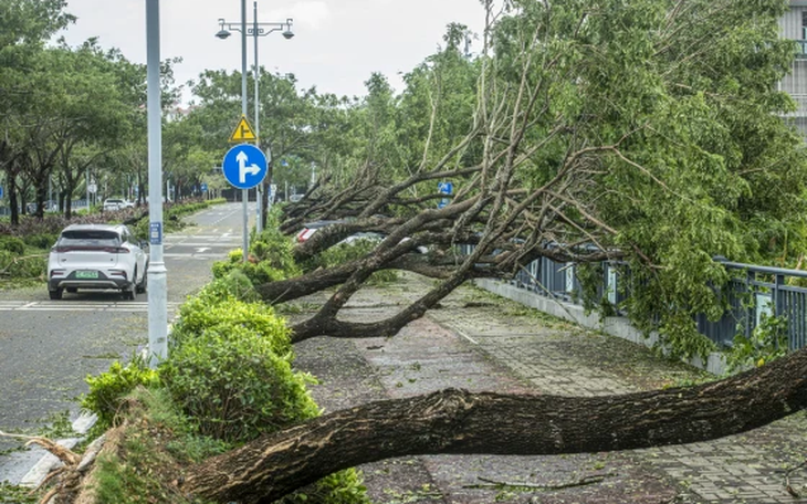 Thời tiết hôm nay 10-9: Bắc Bộ mưa không ngớt, các sông lũ dâng, đề phòng sạt lở - Ảnh 3.